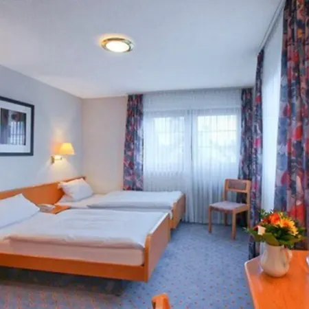 Landgasthaus Maien 3* Райнфельден